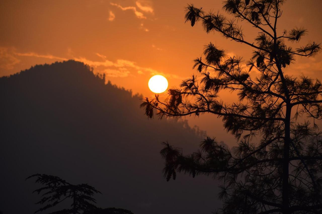 Aachman Nature Valley Resort, Mashobra Σίμλα Εξωτερικό φωτογραφία