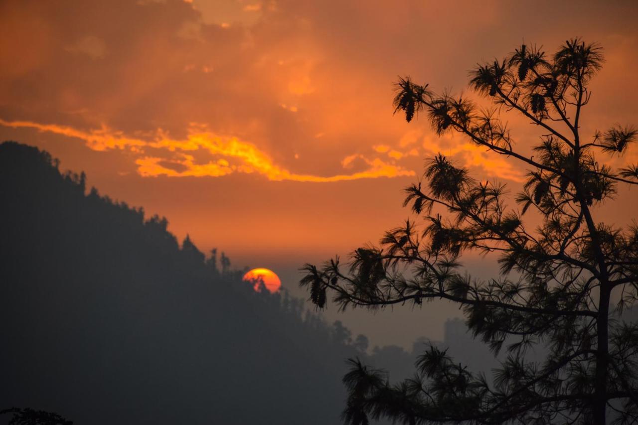 Aachman Nature Valley Resort, Mashobra Σίμλα Εξωτερικό φωτογραφία